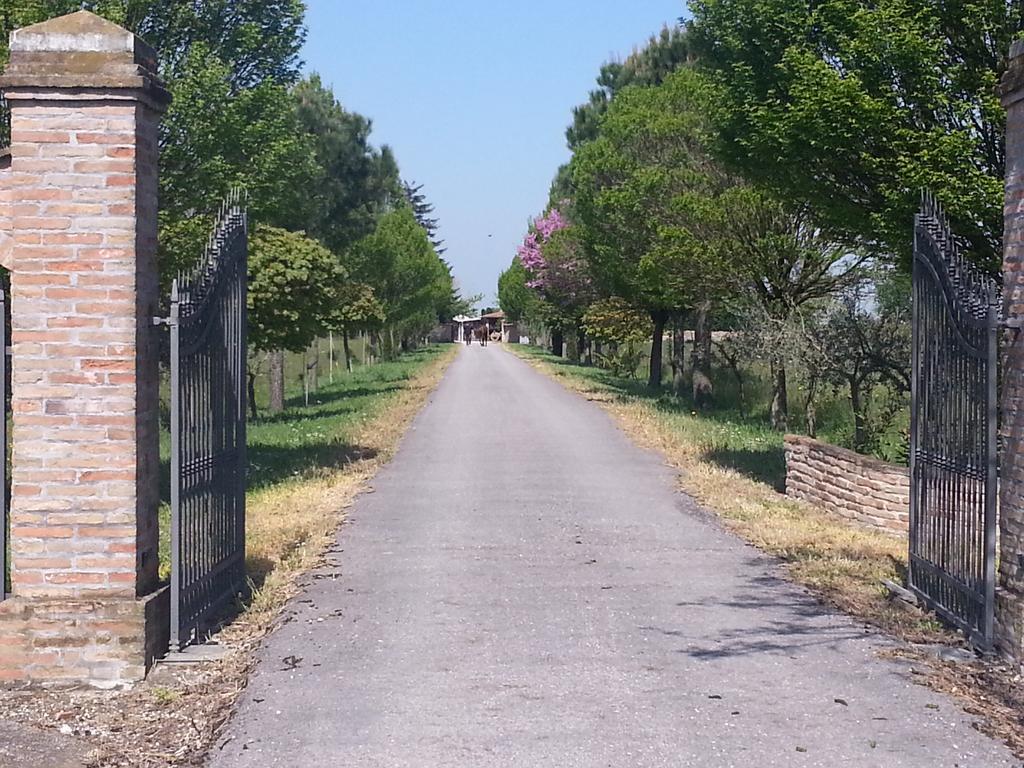 Agriturismo L'Angelina Villa Alfonsine Buitenkant foto