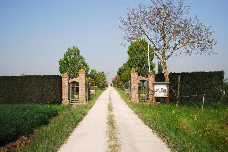 Agriturismo L'Angelina Villa Alfonsine Buitenkant foto